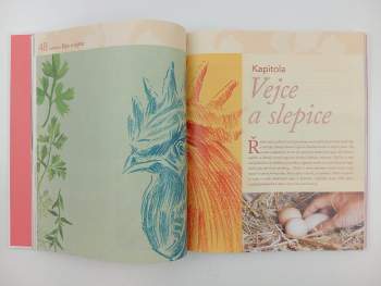 Michaela Učňová: Co naše babičky uměly a na co my jsme zapomněli