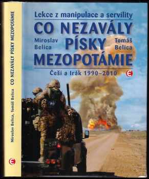 Co nezavály písky Mezopotámie