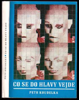 Co se do hlavy vejde