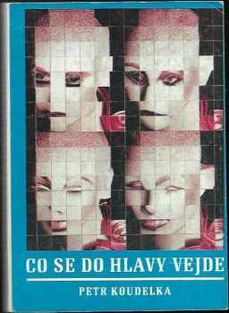 Co se do hlavy vejde