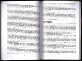 Luděk Richter: Co skrývá text