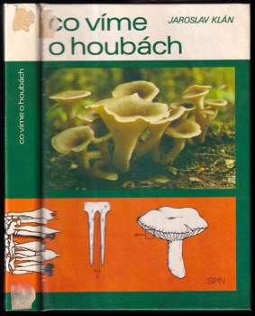 Co víme o houbách