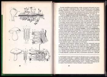 Jaroslav Klán: Co víme o houbách
