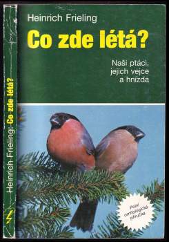 Heinrich Frieling: Co zde létá?