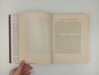 Josef Bohuslav Foerster: Co život dal