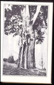 Karel Klostermann: Črty ze Šumavy 1890