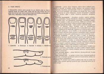 Vojtěch Omasta: Čteme (si) z ruky