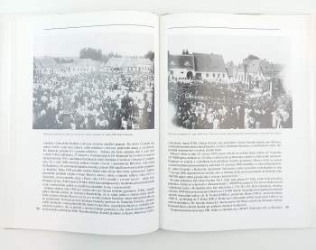 Jan Skácel: Čtení o Strážnici