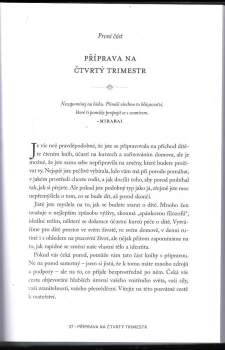 Kimberly Ann Johnson: Čtvrtý trimestr