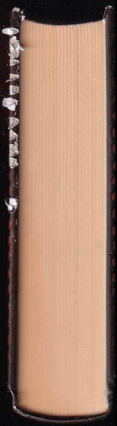 Elif Shafak: Čtyřicet pravidel lásky