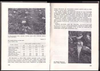 Vaclav Rybacek: Cukrovka