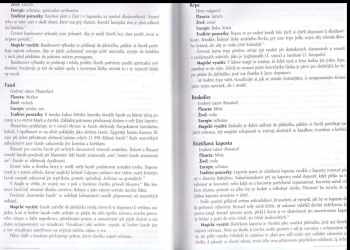 Scott Cunningham: Cunninghamova encyklopedie Čarodějnictví v kuchyni