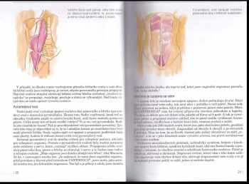 Benita Cantieni: Cvičení po porodu