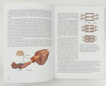 Shannon Sovndal: Cyklistika - anatomie