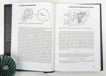 Roger Penrose: Cykly času
