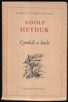 Cymbál a husle