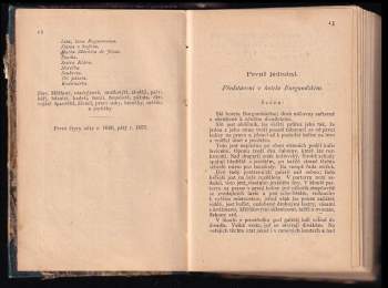 Edmond Rostand: Cyrano de Bergerac