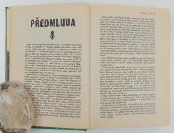 George Robert Elford: Ďábelská garda