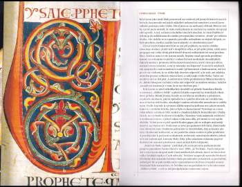 Stanislav Bártl: Ďáblova bible