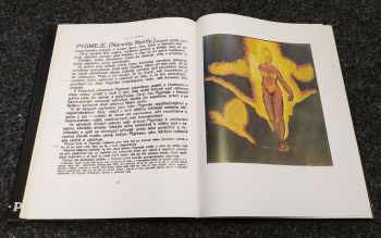 Josef Váchal: Ďáblova zahrádka, aneb, Přírodopis strašidel, to jest, Neobyčejná cesta mezi ďáblovými dětmi, přízraky a bytostmi přírodními, zjevujícími se často hříšnému člověku