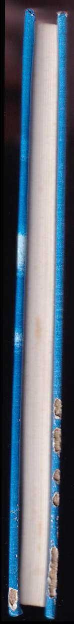 Ludvík Souček: Ďáblův prsten