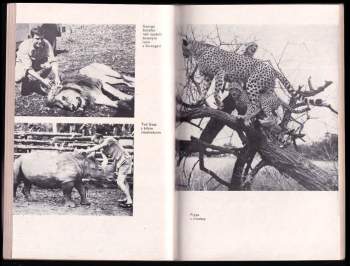 Susanne Hart: Daktari