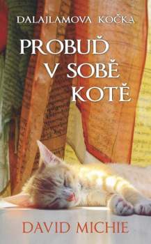 Dalajlamova kočka - probuď v sobě kotě