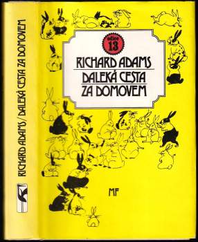 Daleká cesta za domovem