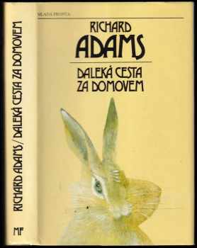 Daleká cesta za domovem