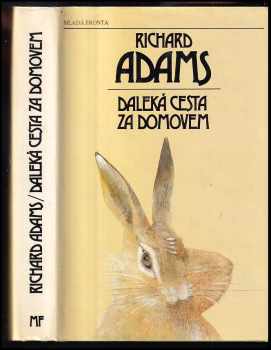 Daleká cesta za domovem