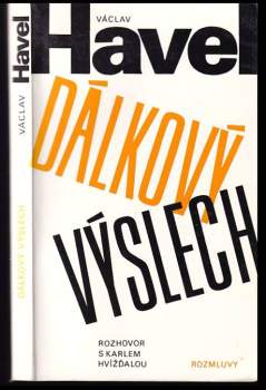Dálkový výslech