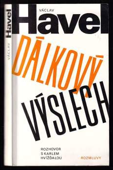 Dálkový výslech