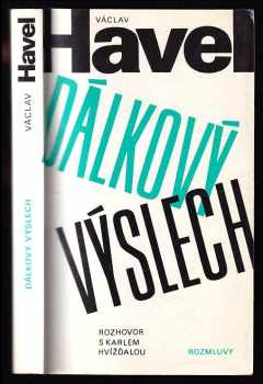 Dálkový výslech