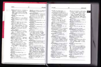 Blanka Kirsteinová: Dánsko-český slovník