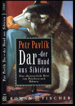 Dar - der Hund aus Sibirien
