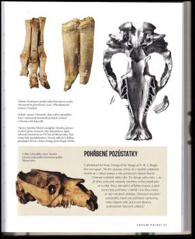 John Van Wyhe: Darwin