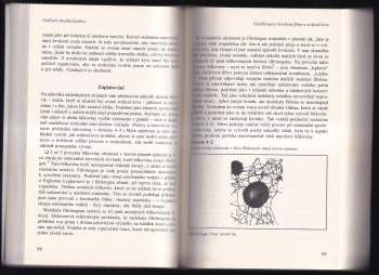 Michael J Behe: Darwinova černá skříňka