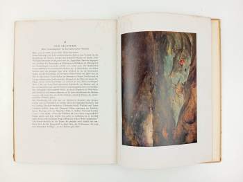 Pieter Bruegel: Das Bruegel-Buch