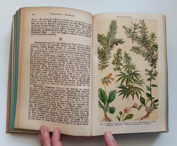 Ferdinand Müller: Das grosse illustrierte Kräuterbuch - Ausführliche Beschreibung aller Pflanzen ihres Gebrauchs, Nutzens, ihrr Anwendung und Wirkung in der Arzneikunde, ihres Anbaues, ihrer Einsammlung, Verwertung und Verwendung im Handel und Gewerbe :