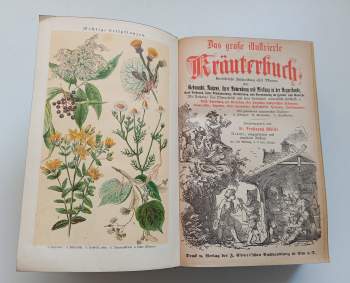 Ferdinand Müller: Das grosse illustrierte Kräuterbuch - Ausführliche Beschreibung aller Pflanzen ihres Gebrauchs, Nutzens, ihrr Anwendung und Wirkung in der Arzneikunde, ihres Anbaues, ihrer Einsammlung, Verwertung und Verwendung im Handel und Gewerbe :