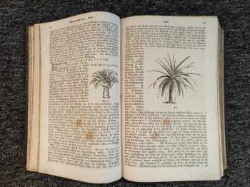Ferdinand Müller: Das grosse illustrirte Kräuterbuch