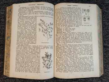 Ferdinand Müller: Das grosse illustrirte Kräuterbuch
