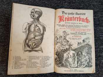 Ferdinand Müller: Das grosse illustrirte Kräuterbuch