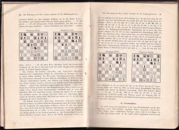 Aleksandr Aleksandrovič Aljechin: Das Grossmeister - Turnier New York 1924