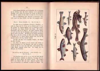 K. G Lutz: Das Süßwasser-Aquarium und Das Leben im Süßwasser - Mit gegen 200 fein kolorierten Abb. u. 45 in den Text gedruckten Holzschnitten
