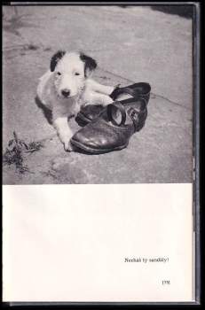 Karel Čapek: Dášeňka, čili, Život štěněte