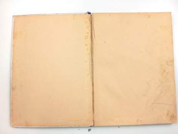 Karel Čapek: Dášeňka, čili, Život štěněte