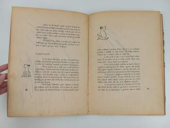 Karel Čapek: Dášeňka, čili, Život štěněte