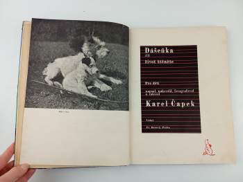 Karel Čapek: Dášeňka, čili, Život štěněte