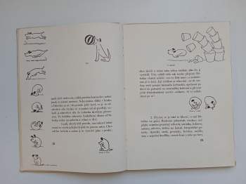 Karel Čapek: Dášenka čili život štěněte